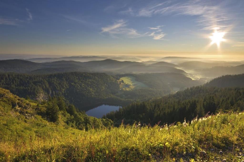 Waldlicht Titisee Esterno foto