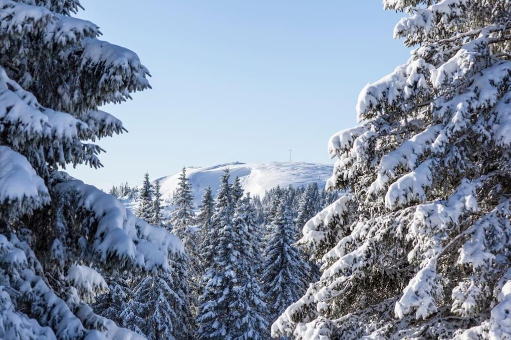 Waldlicht Titisee Esterno foto
