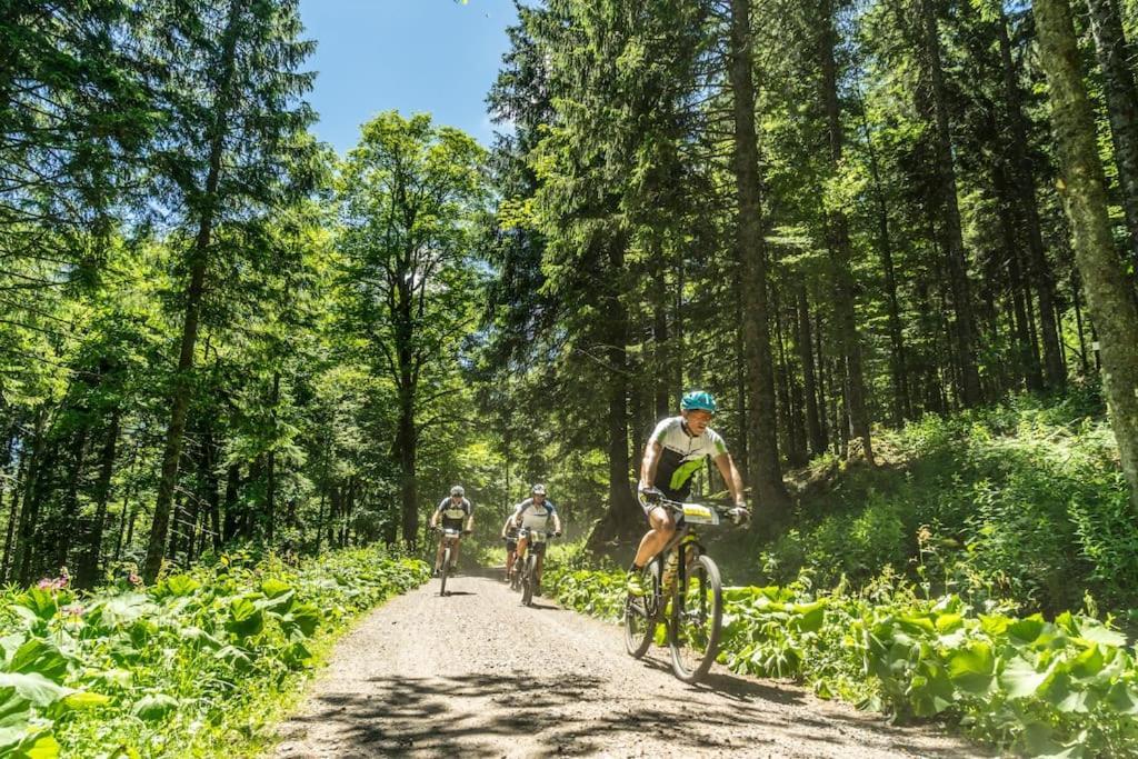 Waldlicht Titisee Esterno foto