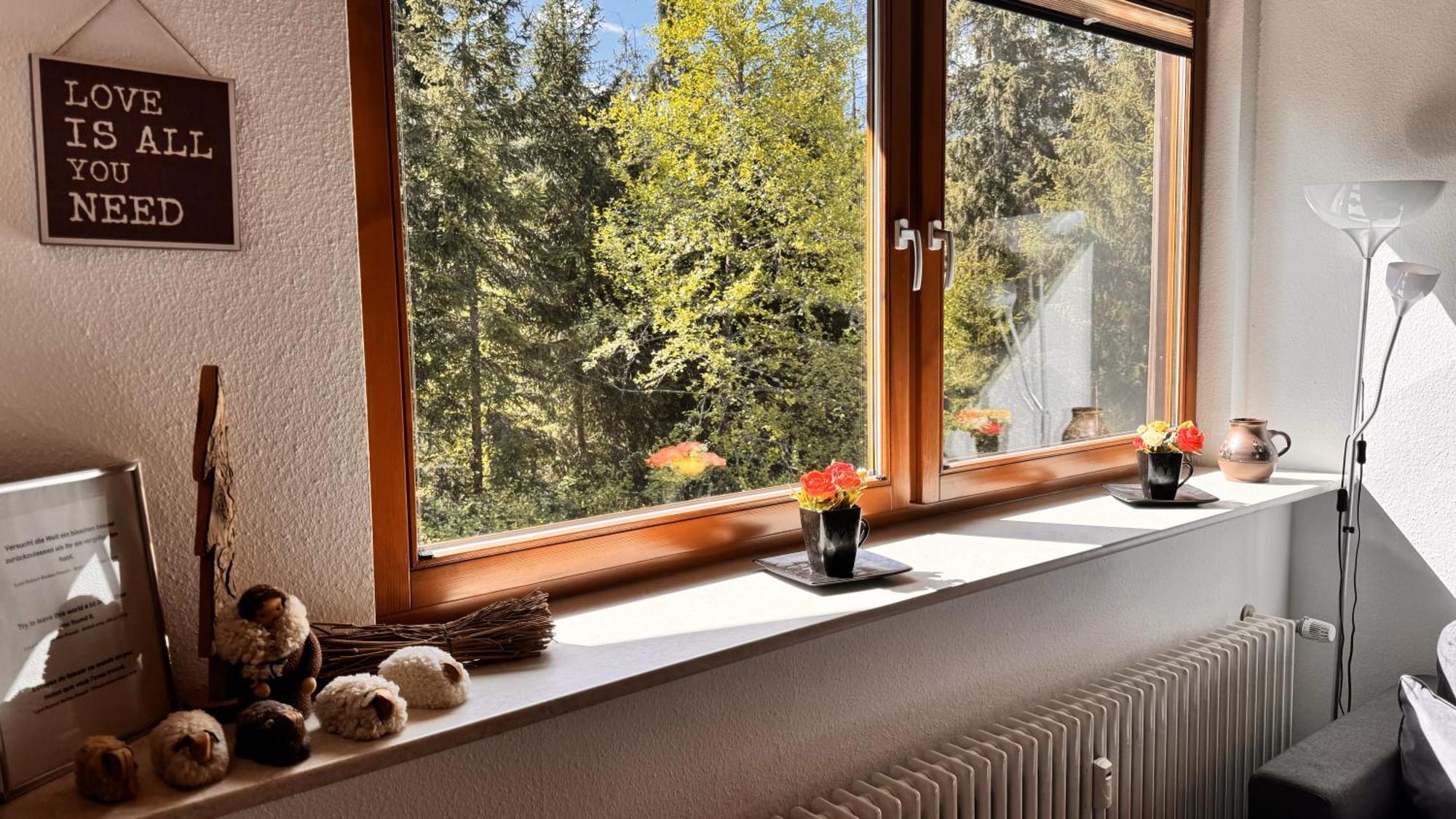 Waldlicht Titisee Esterno foto
